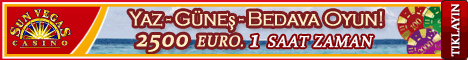 Internet Casino