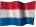 Dutch Online Casinos